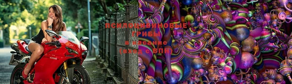 а пвп мука Касимов