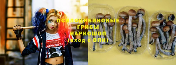 ГАЛЛЮЦИНОГЕННЫЕ ГРИБЫ Карпинск